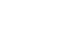 Primary Raster logo